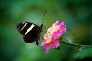 Forgiving: My Greatest Victory