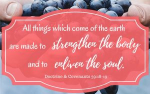 The Creation And How It Applies To You