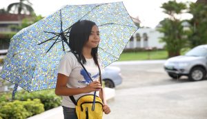 Faith Promoting Story: Pressing Forward with Faith