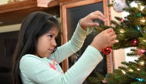 Christmas season is over…now what?