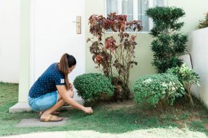 Life Lessons I Learned From My Garden