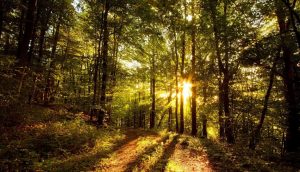 3 Truths About Positivity That We Might Be Getting Wrong